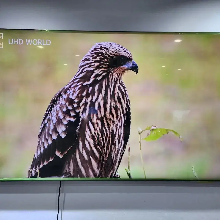 삼성 75인치 8K QLED 75Q900TS