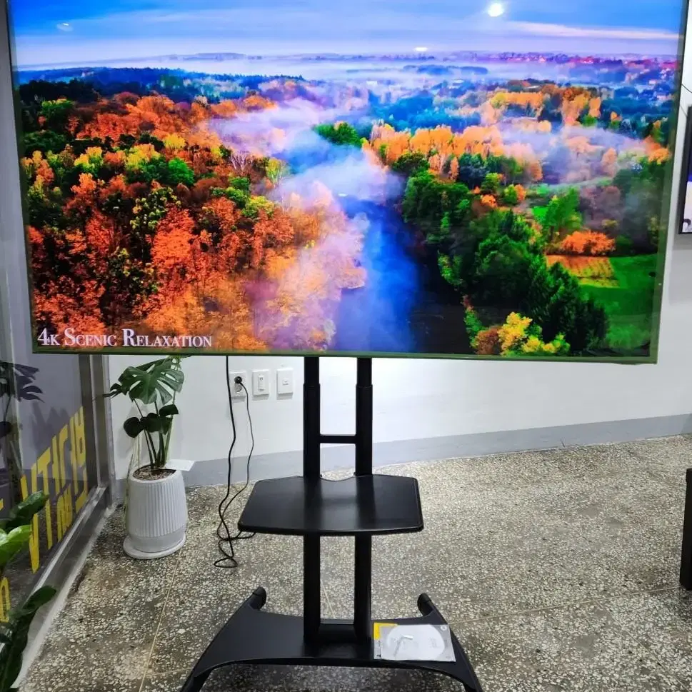 삼성 75인치 8K QLED 75Q900TS