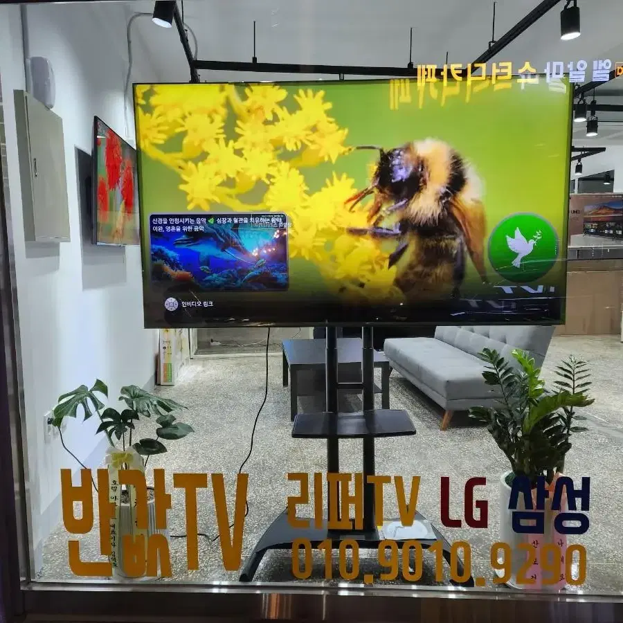 삼성 75인치 8K QLED 75Q900TS