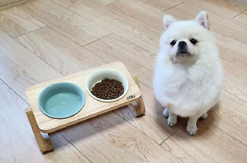 강아지 고양이 밥그릇 높이조절 슬로우식기 새상품