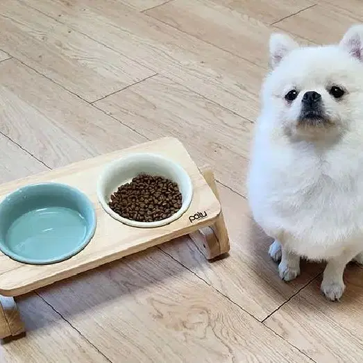 강아지 고양이 밥그릇 높이조절 슬로우식기 새상품