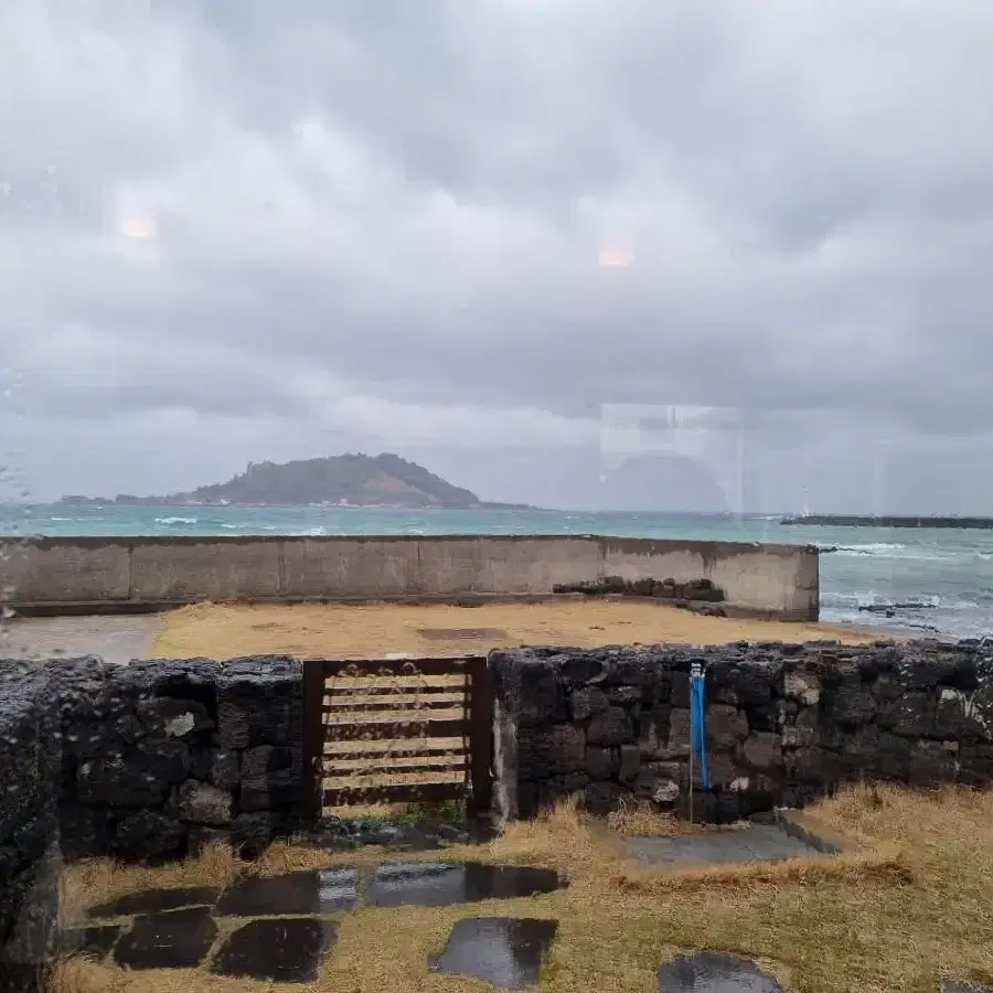 제주도 항공권 구해요ㅠ