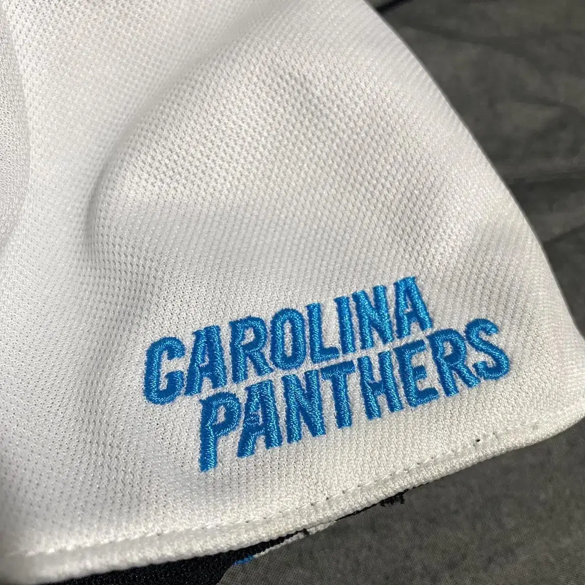 47 Brand Panthers Hat Sz OSFA Stretch