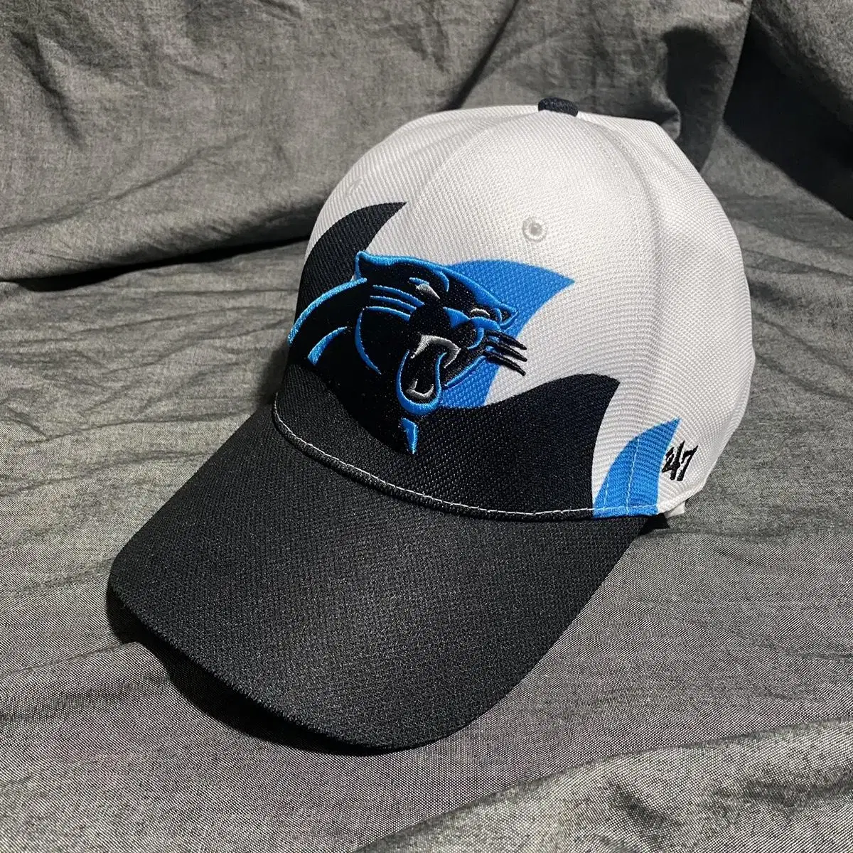 47 Brand Panthers Hat Sz OSFA Stretch