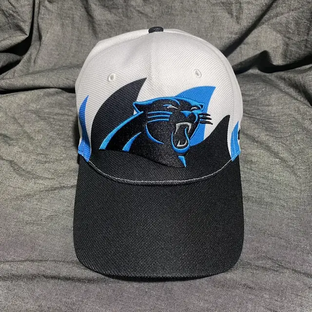 47 Brand Panthers Hat Sz OSFA Stretch