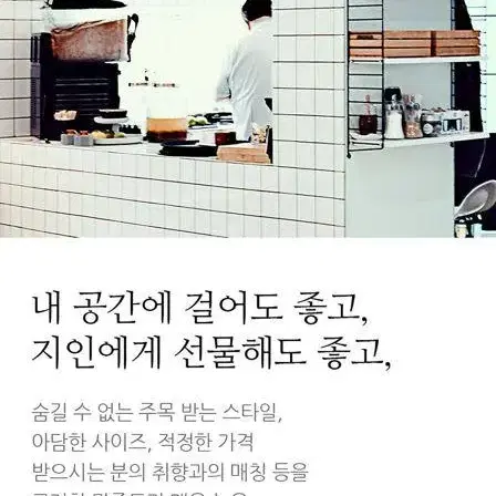 [무료배송] 재물을 부르는 부엉이 벽시계 집들이선물 개업식선물 벽걸이시계