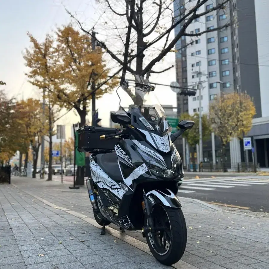 전차종바이크 렌트&데칼   tmax.nmax.pcx.xmax.r6.r1