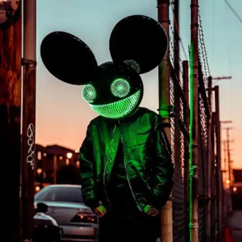 Deadmau5 집업 후디