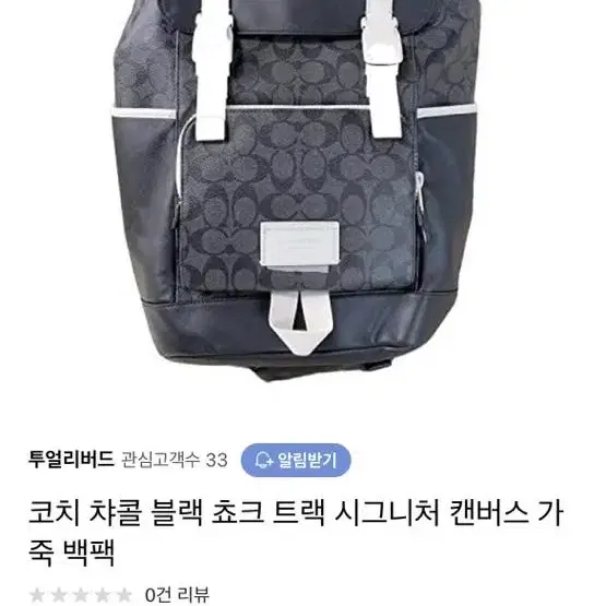 Coach 코치 백팩