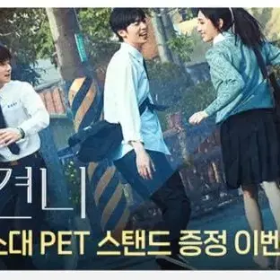 재고보유) 상견니 pet 스탠드