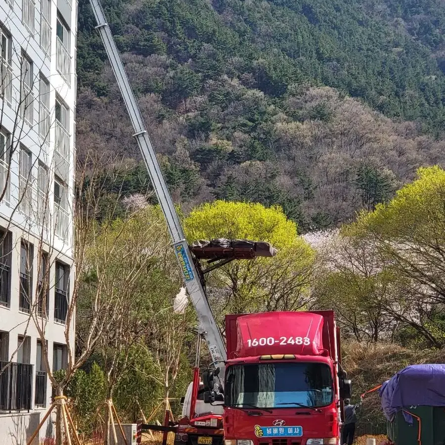 [넘버원이사]포장전문업체