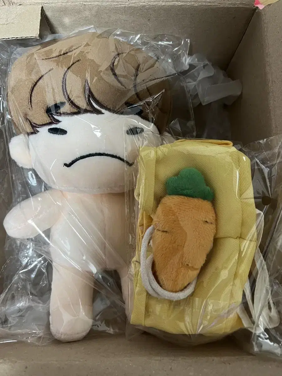 ForgetfulJunhoJunho House Edition (unsealed)JunhoDolls