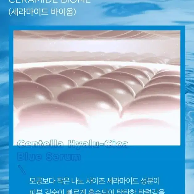 스킨1004 마다가스카르 센텔라 히알루 시카 블루 세럼