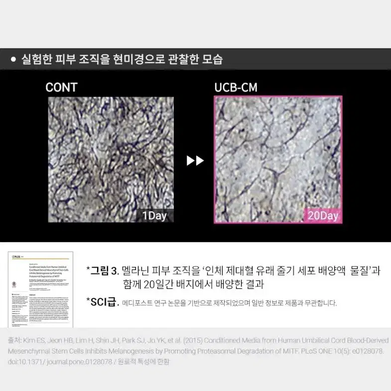 셀로니아 시그니처 바이오 시트마스크 32ml X 5매입