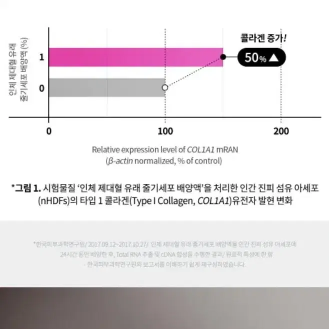 셀로니아 시그니처 바이오 시트마스크 32ml X 5매입