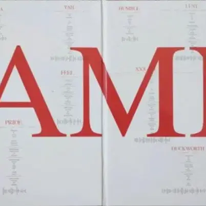 싸인판 kendrick lamar 켄드릭라마 DAMN Red 2lp