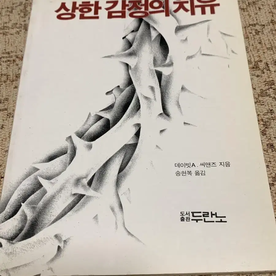 상한 감정의 치유 두란노