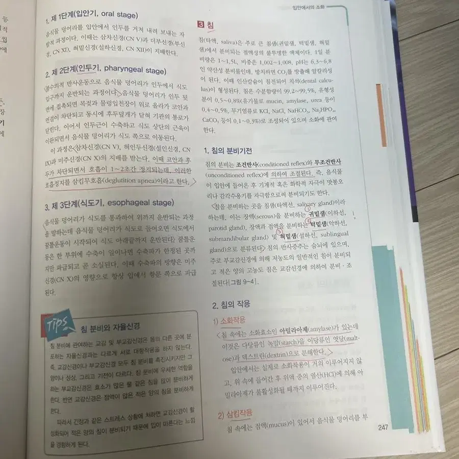 생리학 5판 학지사메디컬