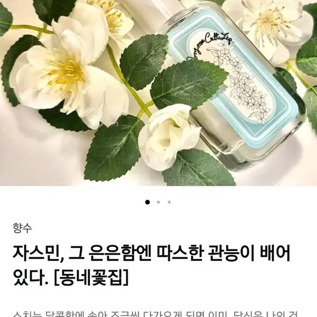 텀블벅 니어바이 동네꽃집 자스민 향수