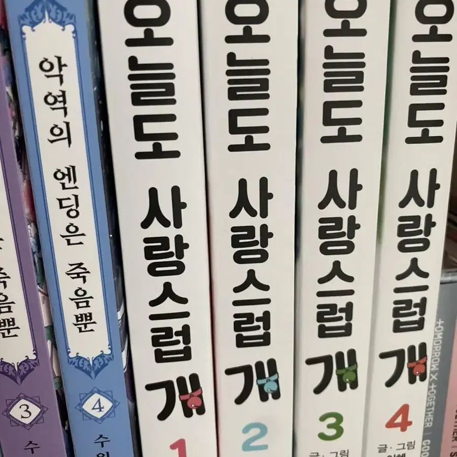 오늘도 사랑스럽개