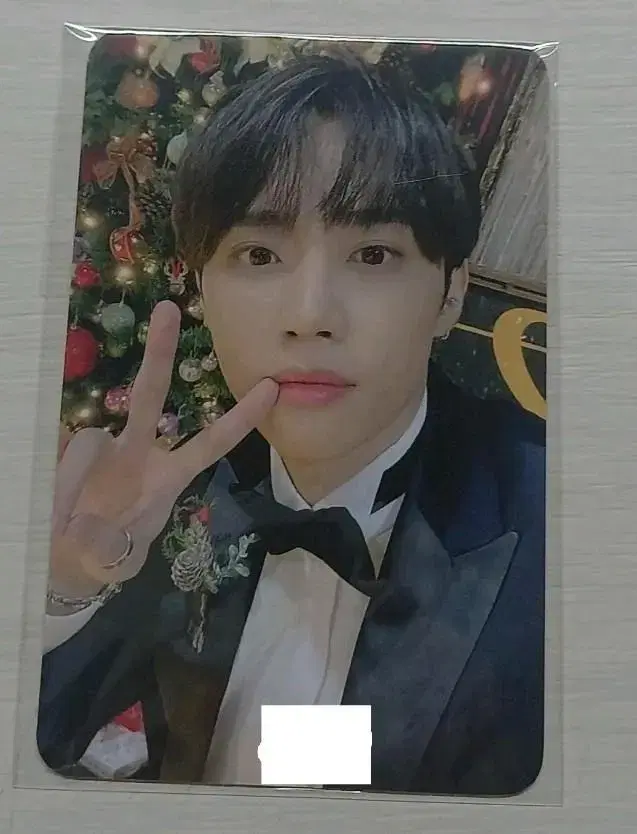 찜하신분 please @TheBoysChristmas keyring sunwoo photocard wts