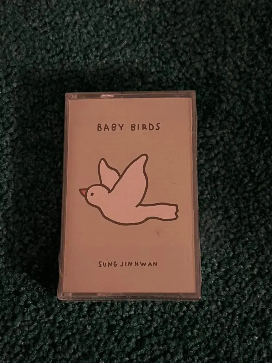 성진환 - Baby Birds 카세트테이프 미개봉