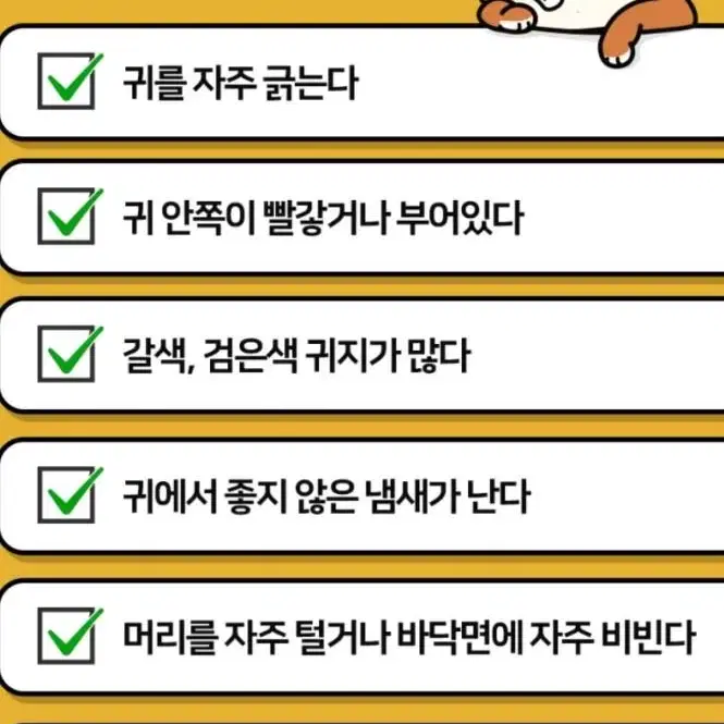 래핑찰리 강아지 귀세정제