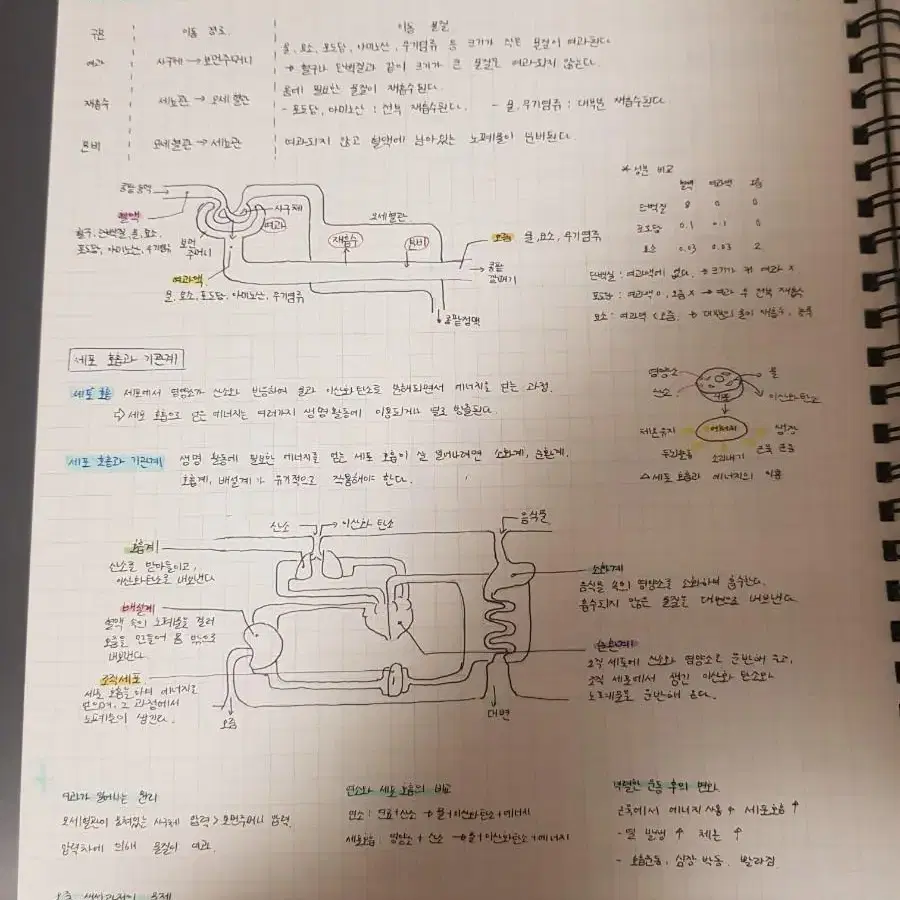 노트 필기 대신 해드려요