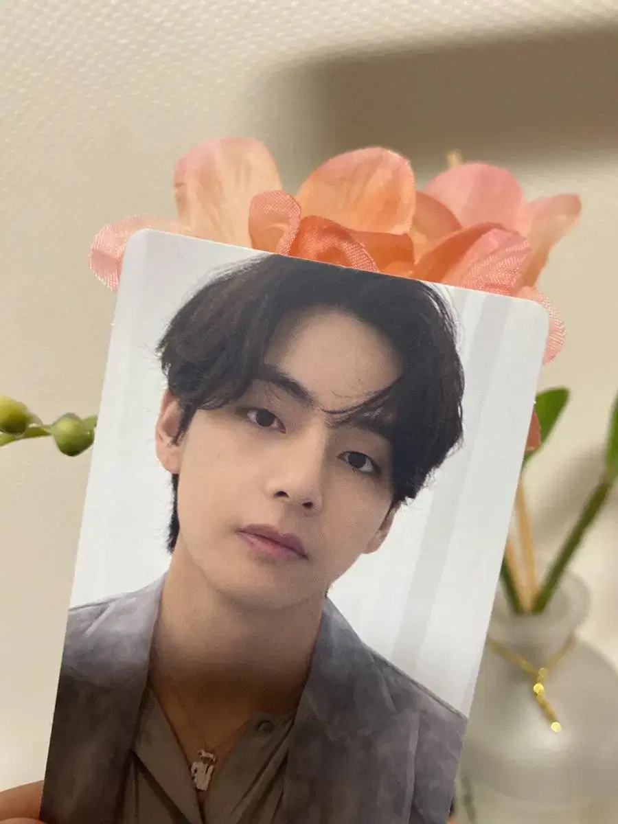 Proof 컴팩트 태형