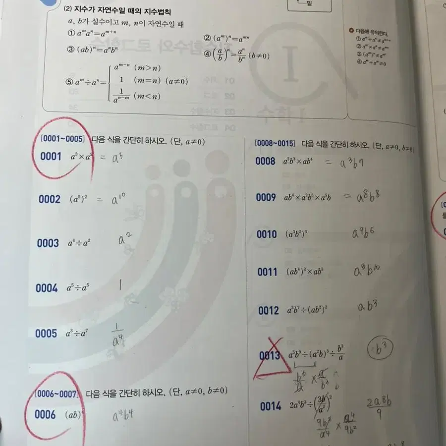 라이트쎈 수1