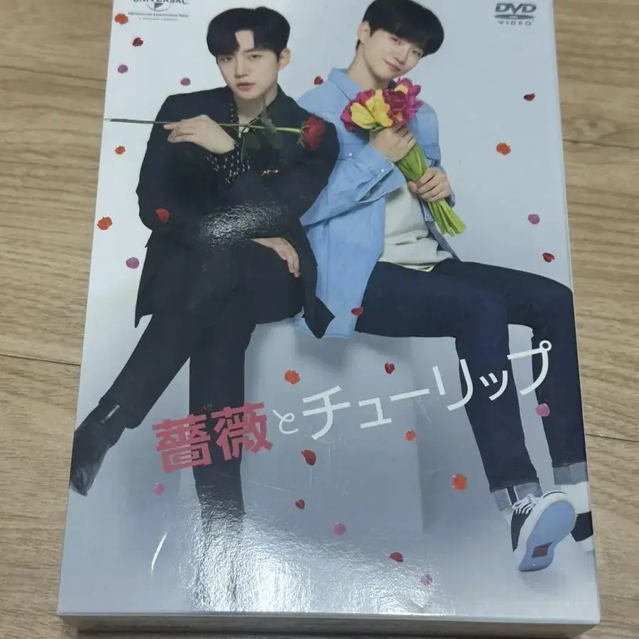 준호 장미와튤립 DVD