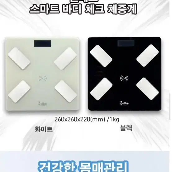 벨레스 바디 스마트체중계 블랙