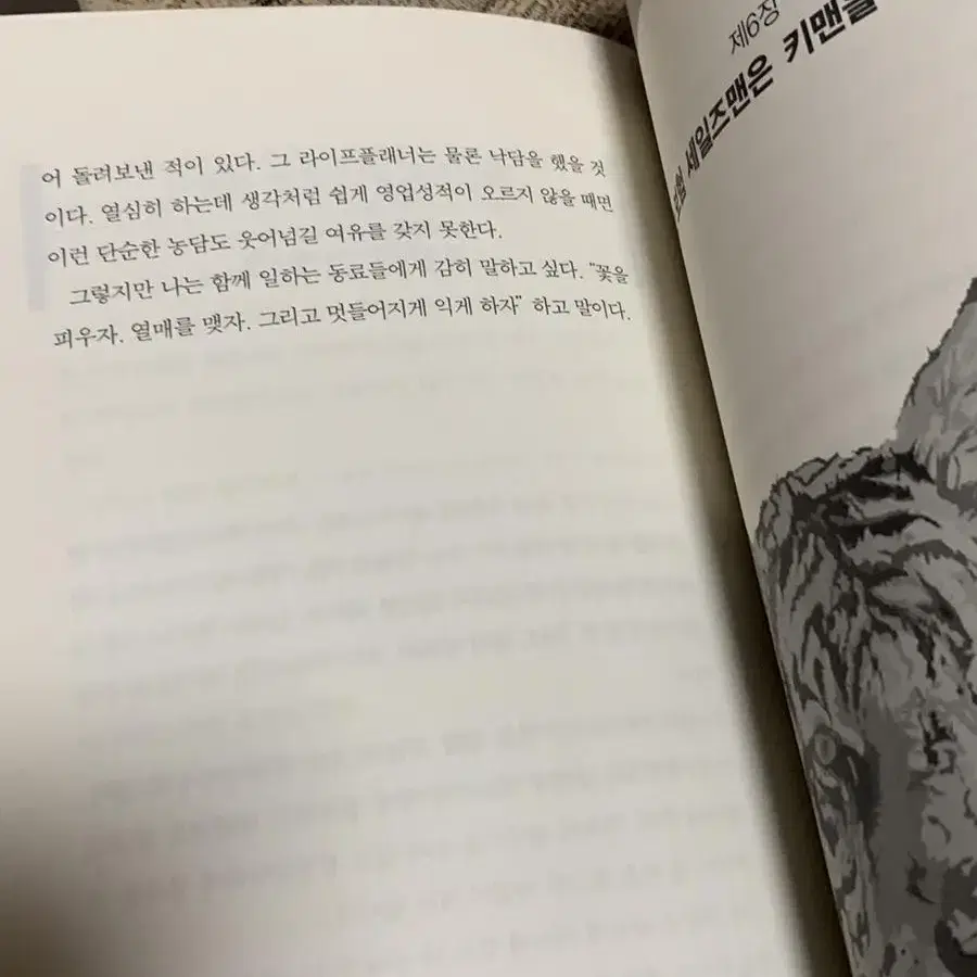 보험 영업 성공의 원칙