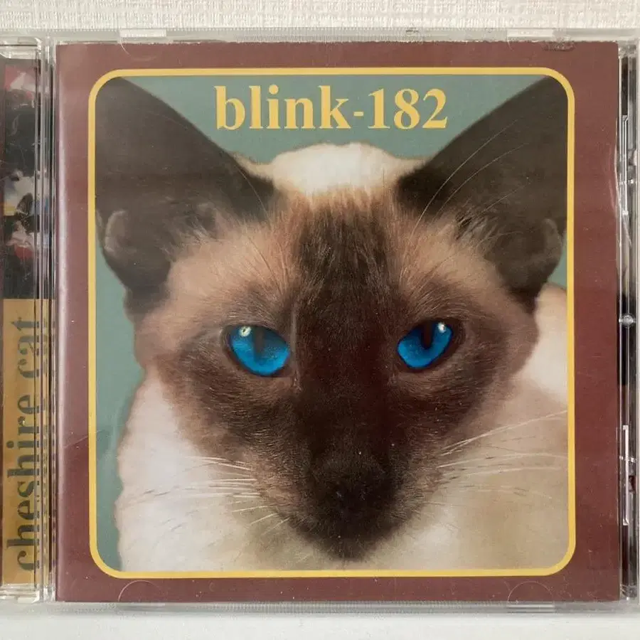 Blink-182 Cheshire Cat 1995 US발매 CD