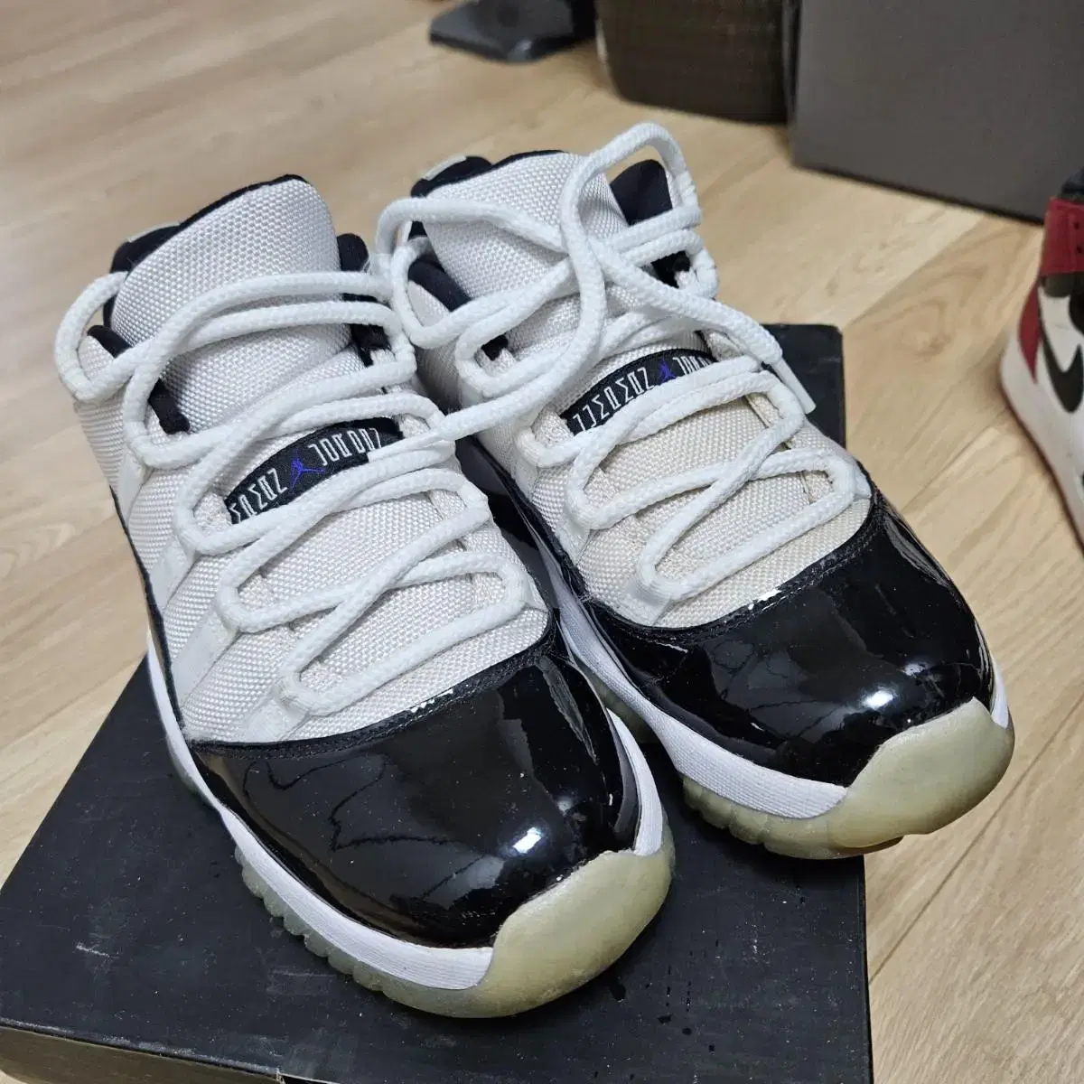 Jordan11 Concord Row Men's 250