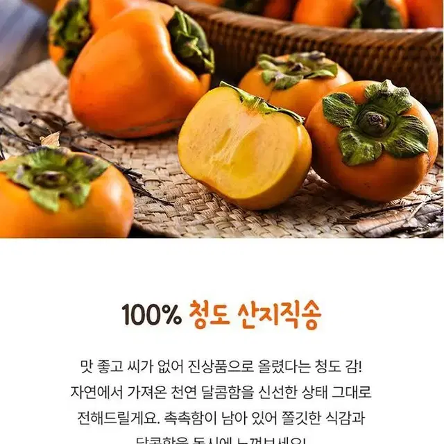 청도 감말랭이 5봉+1봉