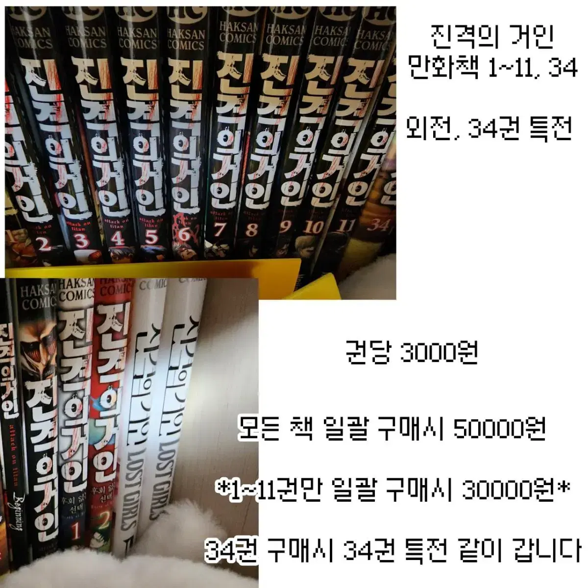 진격거, 지하군, 앙스타, 주술회전, 나히아 굿즈 판매