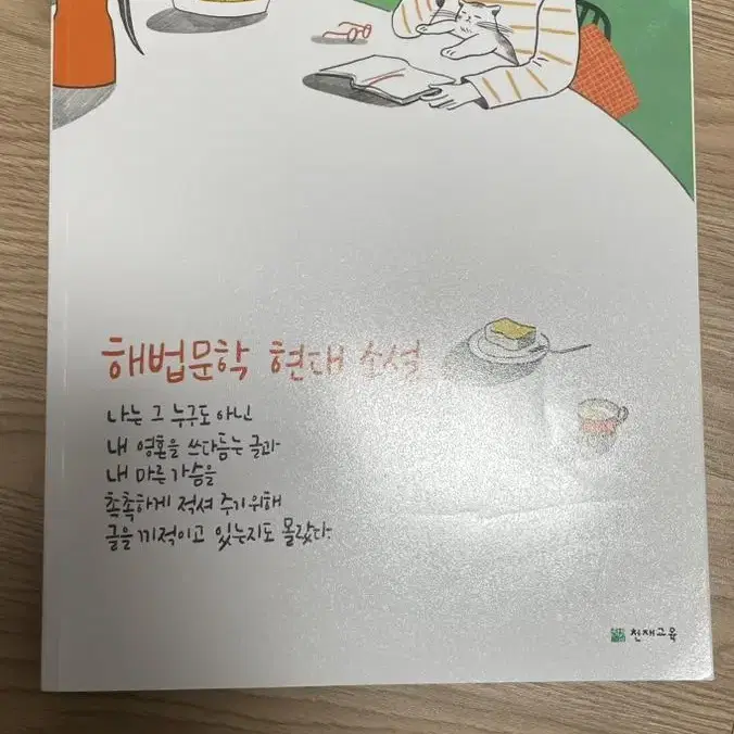 해법문학 참고서