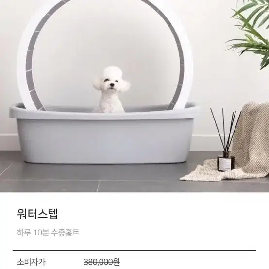 강아지 워터스텝 팝니다