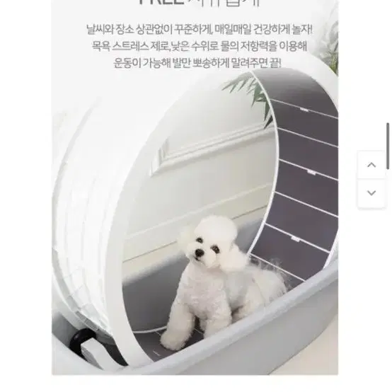 강아지 워터스텝 팝니다