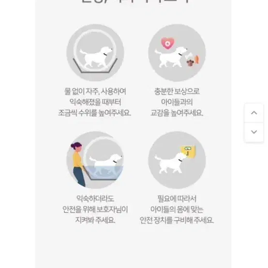 강아지 워터스텝 팝니다