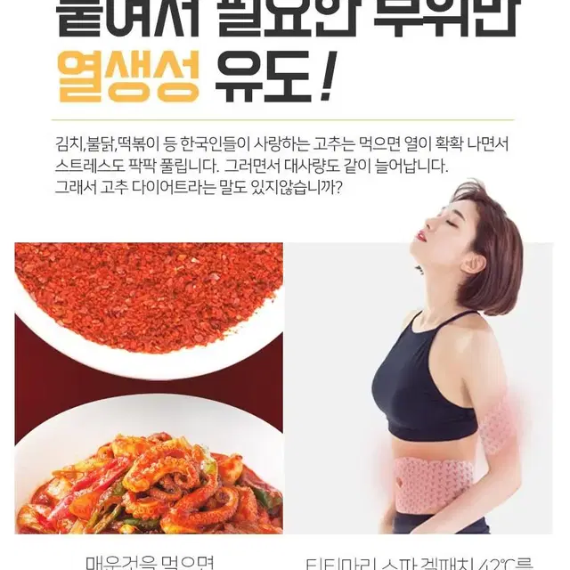 티티마리 스파겔 패치 다이어트 슬림 복부 체지방 빼기 제거 인터넷 최저가