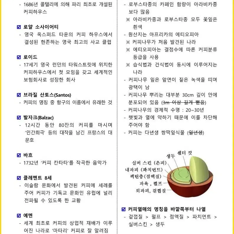 [3일 완성] 2024년 바리스타 2급 필기 핵심요약서(PDF)