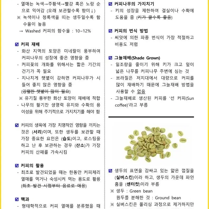 [3일 완성] 2024년 바리스타 2급 필기 핵심요약서(PDF)