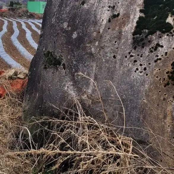 조경석