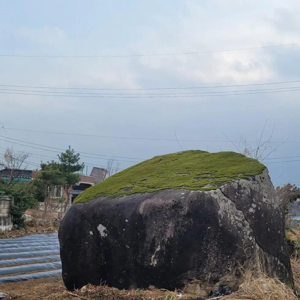 조경석