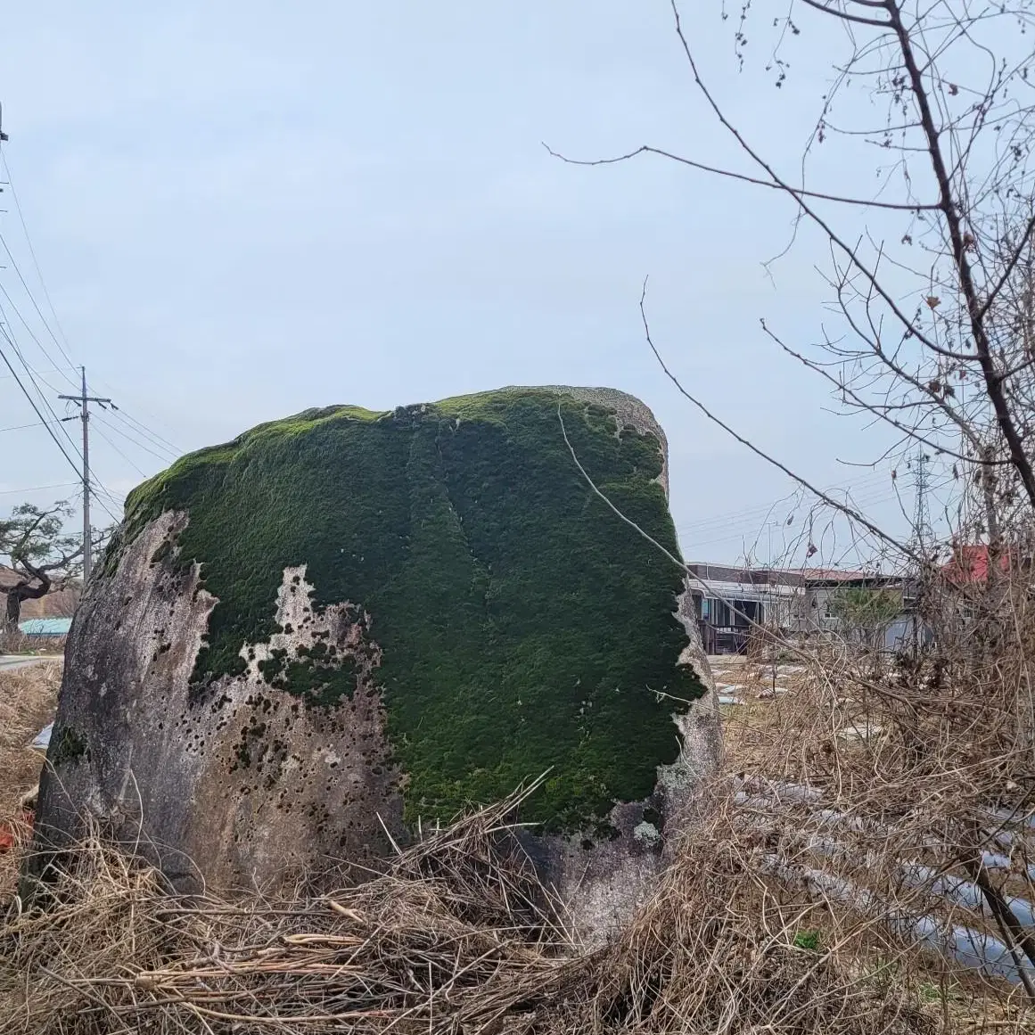 조경석