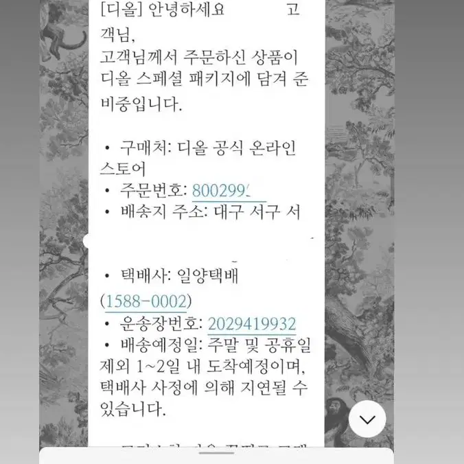 디올 드윌리 마차 스카프 팔아요