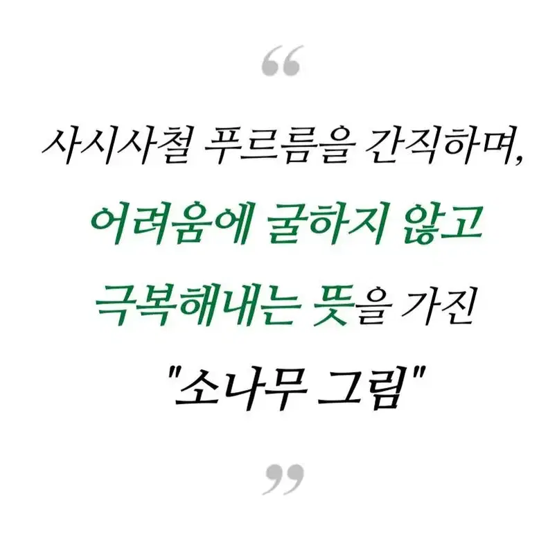 지원(박재현)-대형현판소나무