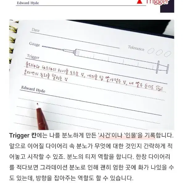 텀블벅 하이드의 극대노 다이어리